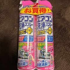 エアコン洗浄スプレー（2本）