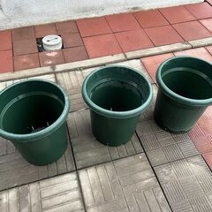 アップルウェアー  バラ鉢 12号 グリーン 土容量20L 奥行...