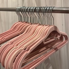 4月末希望。ピンクハンガー