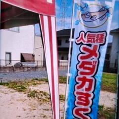 メダカ救い