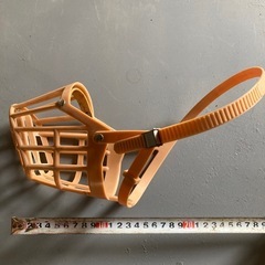 口輪