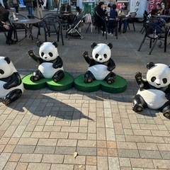 お友達探し🌷 - メンバー募集