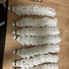 バドミントンシャトル