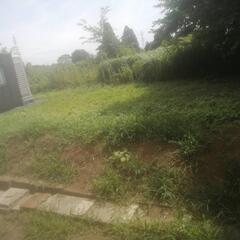 井戸堀をお願いしたいです