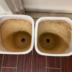 4つまとめて 蘭鉢 植木鉢 プランター 観葉植物　花瓶　陶器　陶磁器　　の画像