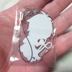 新品　未開封　透明なアクリルキーホルダー　isaaki？　足拭きマットさん？の画像