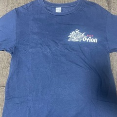沖縄Tシャツ2枚セットの画像