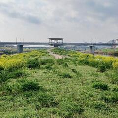 一緒に手話を学んでみませんか？✋