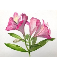 🎨美大で培った知識と技術でレッスン🌷写実描写の基礎🌷【初心者大人向け】の画像