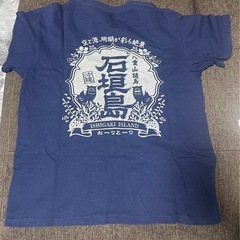 沖縄Tシャツ2枚セットの画像
