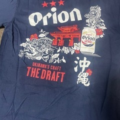 沖縄Tシャツ2枚セットの画像