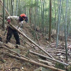 竹林整備の相談承ります【子や孫のために】 − 長崎県