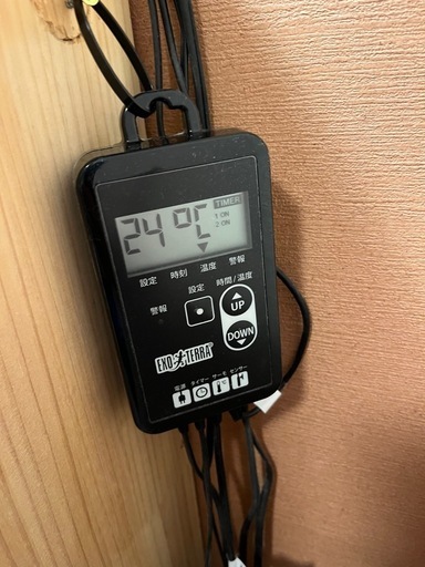 綺麗❗️爬虫類　大型　ケージ　60×45×45  ライト他セット一式 　