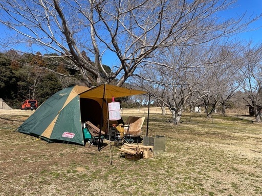 コールマン（Coleman） ファミリーテント ドーム BCクロスドーム