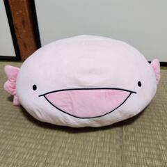 からめる  ウーパールーパーの画像