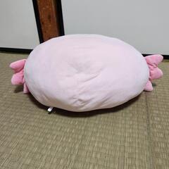 からめる  ウーパールーパーの画像