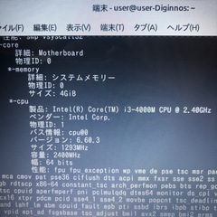 【難あり】Diginnos Critea DX4の画像