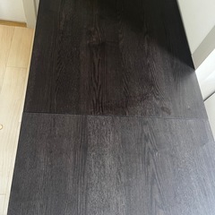 伸長式ダイニングテーブル Vangsta