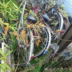 【取引予定者決定済】自転車の画像