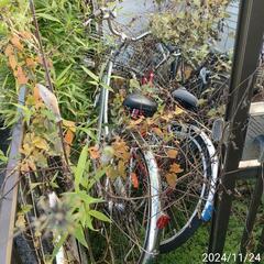 【取引予定者決定済】自転車の画像