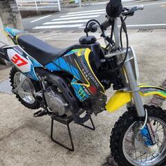 子供 バイク DR-Z70の画像