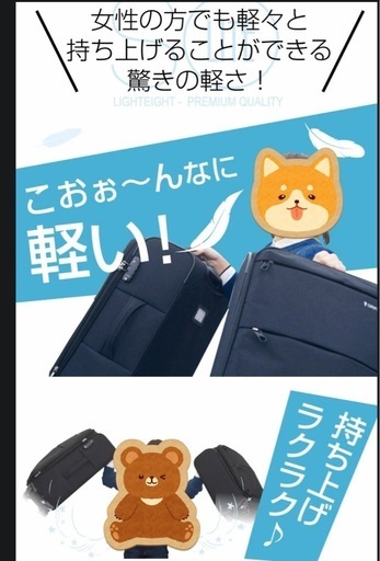 美品　超軽量 ソフトスーツケース Mサイズ　キャリーケース　拡張 TSAロック