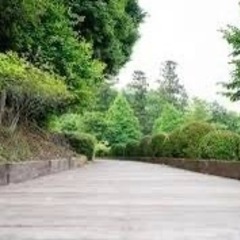 杉並区　公園内ウッドデッキ工事