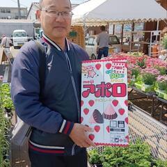 🍀🌈わいわい市藤沢店、チャリティーメダカ販売のお礼＆ご案内🍀🌈