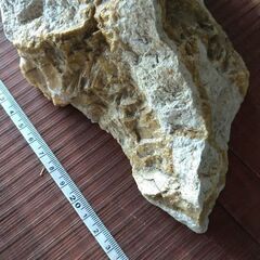 大理石（中）の画像