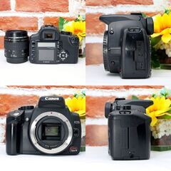 【全国送料無料】Canon EOS Kiss Digital N✨ 届いたらすぐに使えます✨人気機種✨ズームレンズセット 一眼レフ キヤノン キャノンの画像