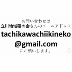🌼４月２０日(日)🌼すみれペットクリニック様にて『 立川地域猫の会 』主催🐾保護猫の譲渡会(予約不用)を開催致します‼️🍀🐈 成猫＆４ヶ月〜１１ヶ月の子猫🐾計１０匹以上参加予定❣️❣️🍀🐈‍⬛皆様のお越しを心よりお待ち致しております‼️🙇‍♀🍀✨ - 里親募集