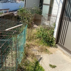 ✨お家を綺麗にしませんか✨ 古賀市 福津市 宗像市 新宮町 東区 燃料費こみで！ 草刈り 除草作業 駐車場洗浄 格安で致します‼︎ - 古賀市