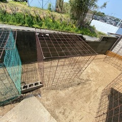 ✨お家を綺麗にしませんか✨ 古賀市 福津市 宗像市 新宮町 東区 燃料費こみで！ 草刈り 除草作業 駐車場洗浄 格安で致します‼︎ - 剪定/造園