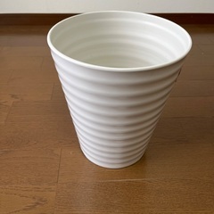 鉢植え　鉢
