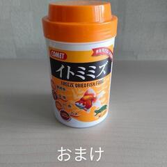 【値下げ】アクアリウム　ガラス水槽と水中フィルター等の画像