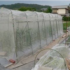 防虫ネットが欲しいです。
