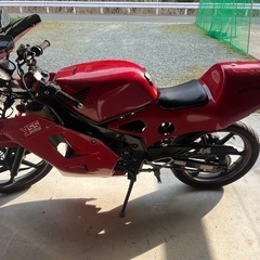 NS-1の画像