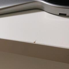 本日限定！SHARP液晶テレビ＆IKEAテレビ台セットの画像