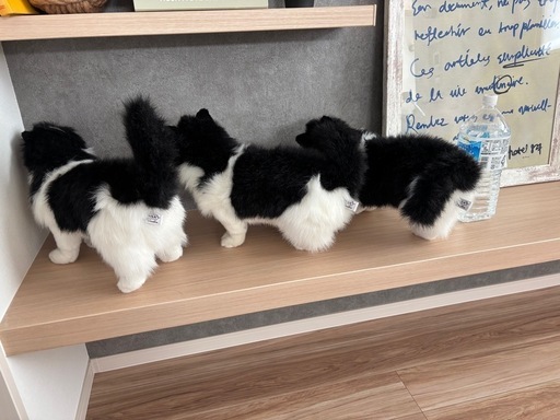 HANSA ハンサ　ネコ　ぬいぐるみ　中古品 HANSA ハンサ ネコ ぬいぐるみ 中古品 - メルカリ