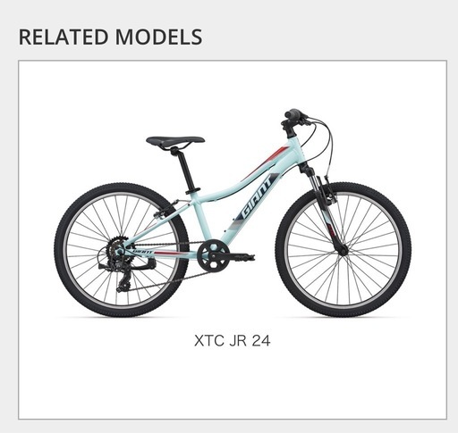 GIANT ジュニア クロスバイク 20インチ