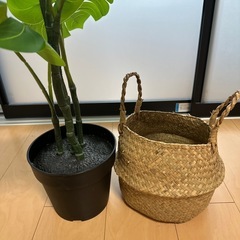 観葉植物 フェイクグリーン インテリアの画像