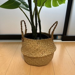 観葉植物 フェイクグリーン インテリアの画像