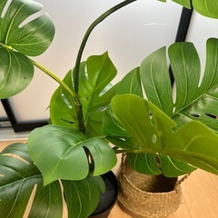 観葉植物 フェイクグリーン インテリアの画像