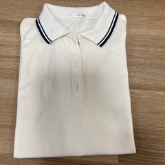 ポロシャツ　レディース　Ｌサイズ　３枚セットの画像