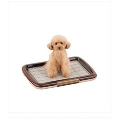 新品 ボンビアルコン I LOVE PET しつけトレー メッシュプラス S ②枚セット
の画像