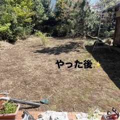 庭木の剪定、企業様の植栽地のお手入れなど承ります！ - 相模原市