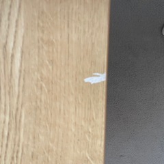 ローテーブルの画像