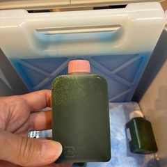 生クロレラ　90ml 　ミジンコのえさ　針子のえさ　グリーンウォーター作りに　お試しサイズ30mlもあります！　無人販売　うるま市　ゆめめだかの画像