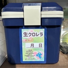 生クロレラ　90ml 　ミジンコのえさ　針子のえさ　グリーンウォーター作りに　お試しサイズ30mlもあります！　無人販売　うるま市　ゆめめだかの画像
