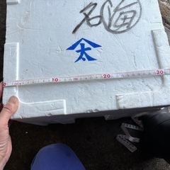 保温性抜群　蓋付きハッポースチロールの画像